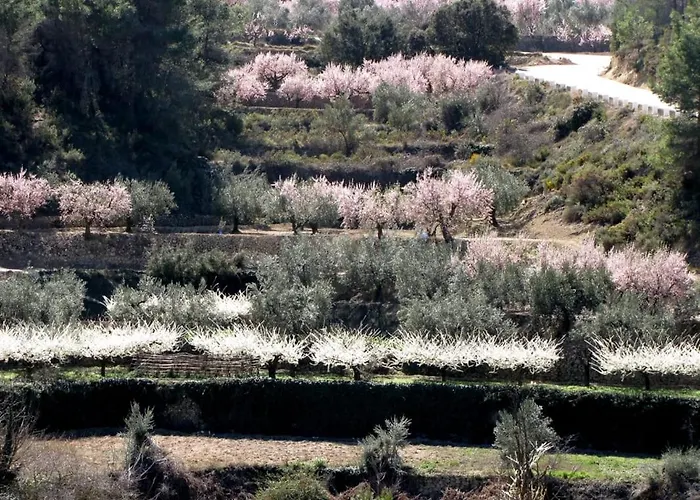 Casa Malferit * Alcoleja