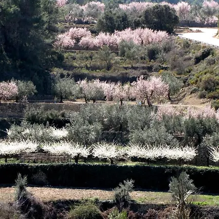 Casa Malferit * Alcoleja