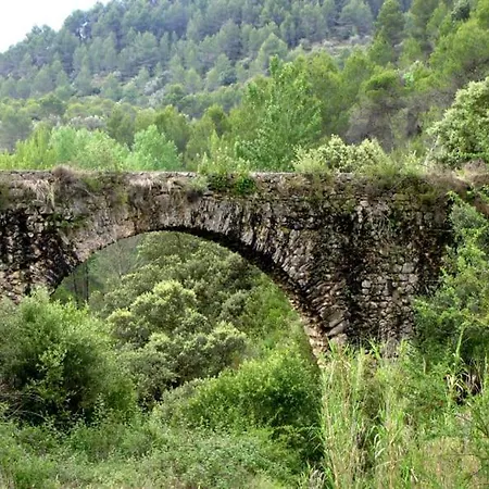 Хостел Casa Malferit *